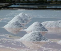 2026-09-20 Caminhada "Alcochete e Salinas de Samouco"